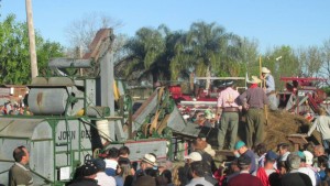 expo-maria-grande-dinamica